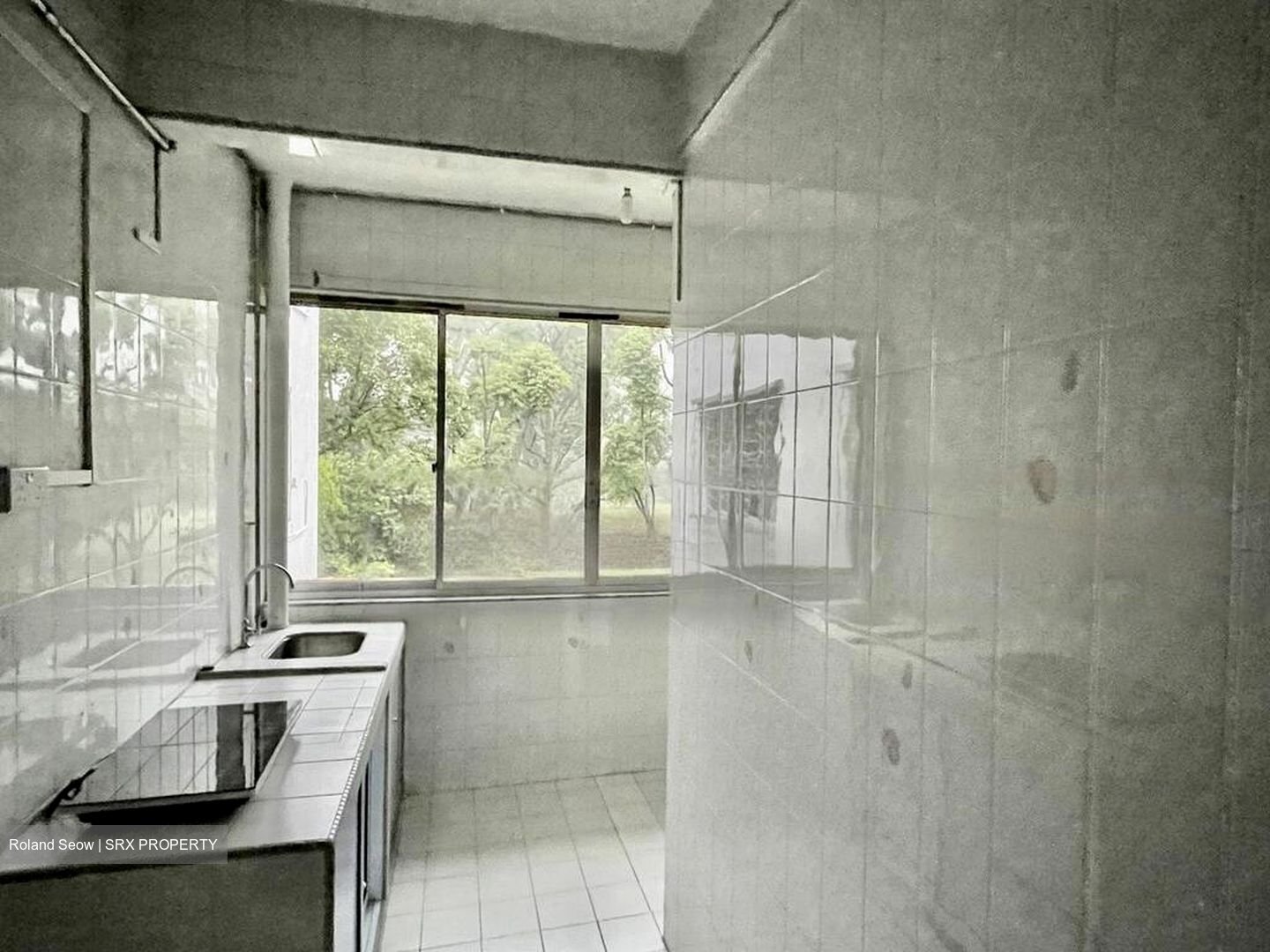 Botanic Gardens Mansion (D10), Apartment #464987081
